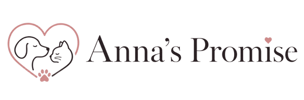 Anna's Promise