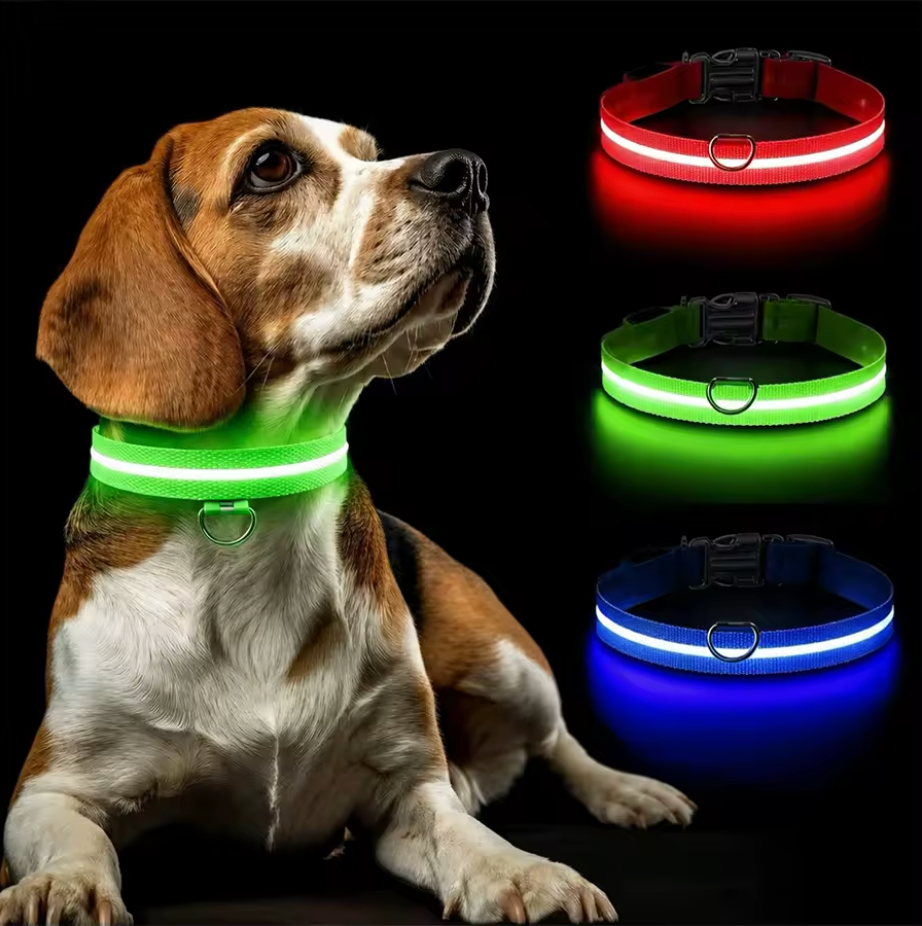 Dog Luminous Charge Collar Led